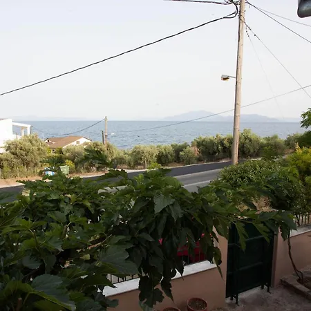 Golden View Apartment